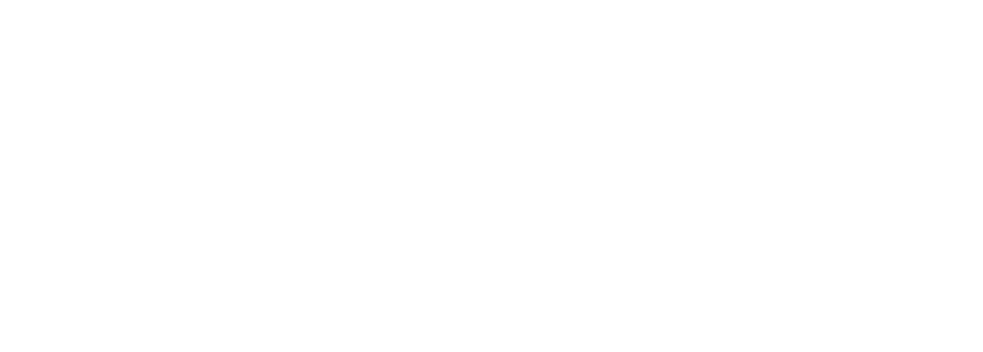 DSB IT Solutions